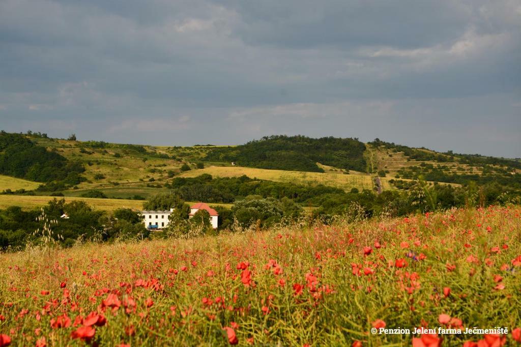 Jeleni Farma Jecmeniste Hotel Vrbovec Exterior foto